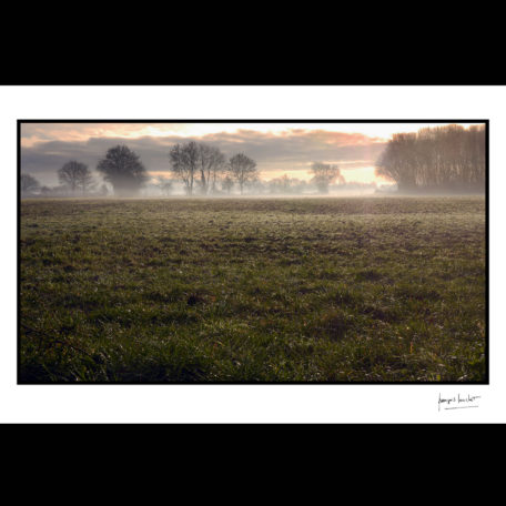 normandie prairie hivernale beuzeville © francois louchet